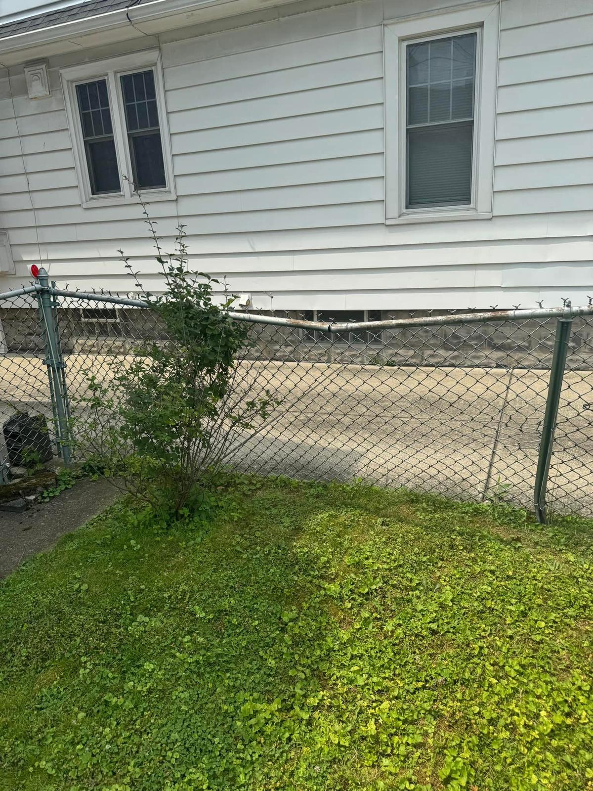 Old Chain-link Fence - Before