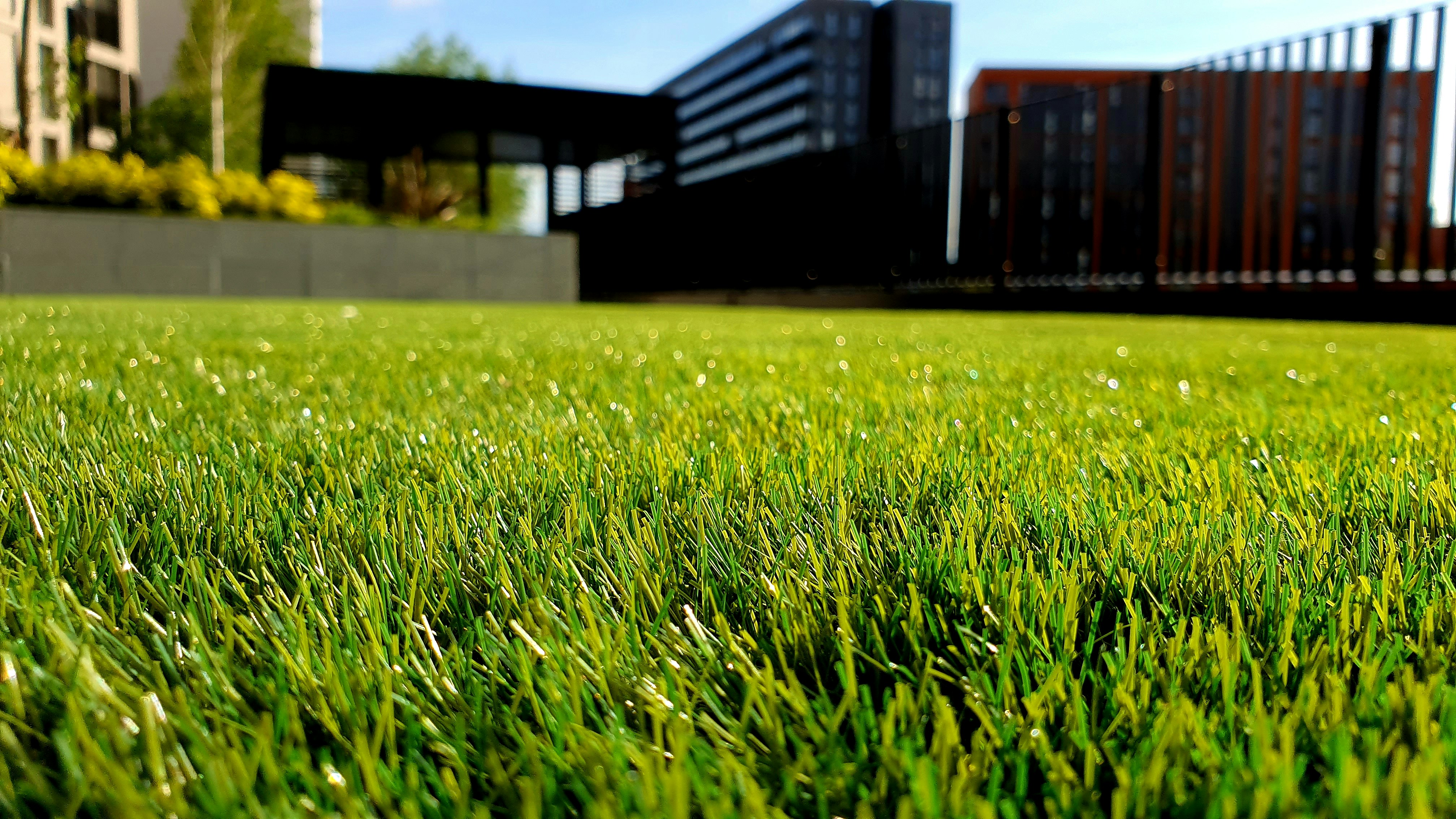 5 Tips for a Healthier Lawn